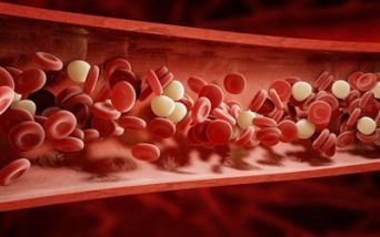 Cellule del sangue
