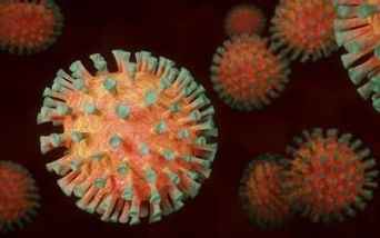 Immunodeficienze primitive e Covid