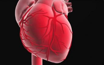 Cuore