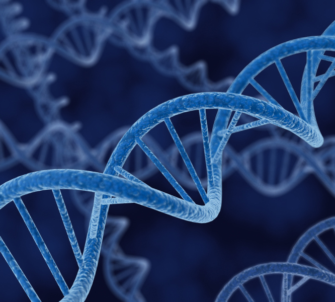 Filamento di DNA