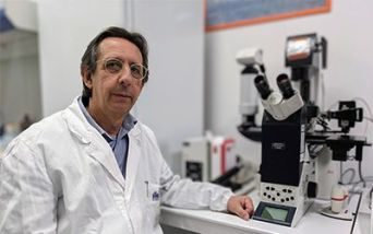 Antonino Giambona