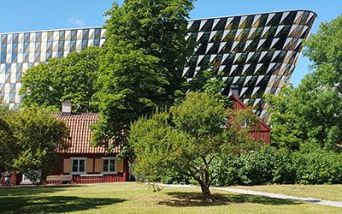 Malattie respiratorie, intesa tra Chiesi e Karolinska Institutet