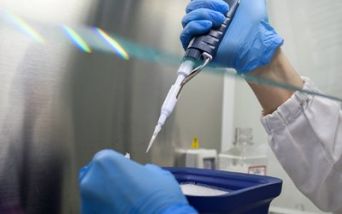 laboratorio