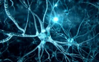Neuroni
