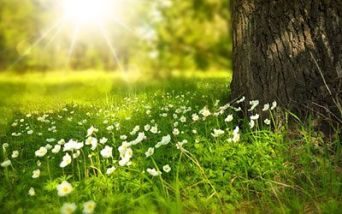 Ambiente naturale