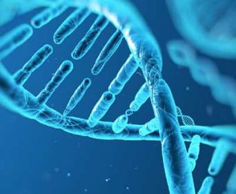 DNA