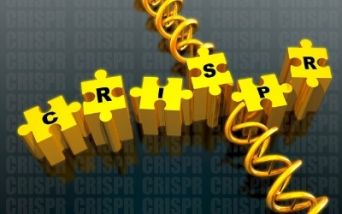 CRISPR-Cas9