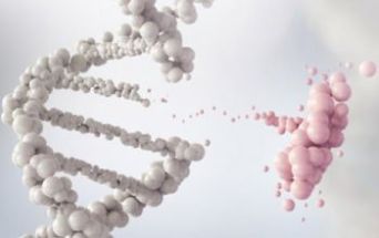 Mucopolisaccaridosi di tipo I - terapia genica