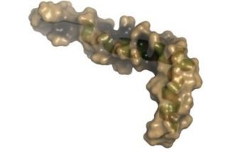 beta amiloide