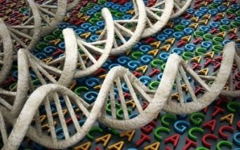 DNA