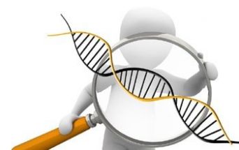 DNA