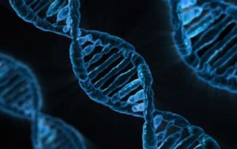 Neuroblastoma - genetica e terapie