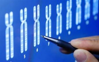 Diagnosi genetica nella talassemia
