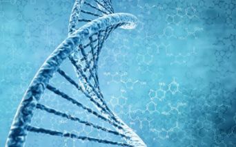 Displasia spondiloepifisaria - gene responsabile