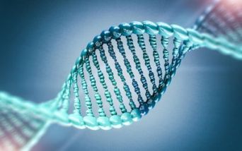 Talassemia e anemia falciforme: la prima terapia CRISPR