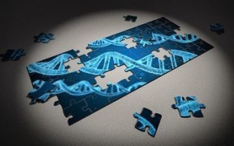 DNA