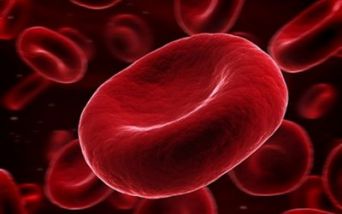 Ematologia - Congresso ASH 2023