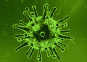 HIV