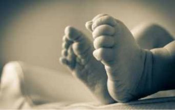 Neonato
