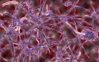 Neuroni
