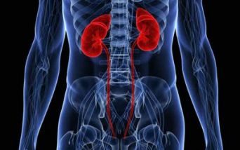 Sindrome di Cushing: quando il cortisolo supera i limiti