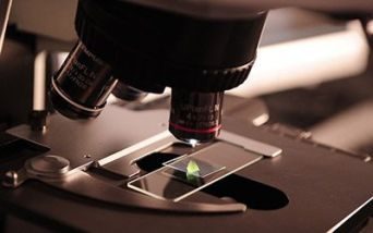 Malattie genetiche, i vincitori del nuovo bando Telethon