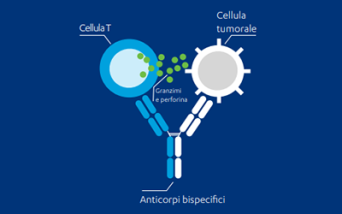 anticorpi bispecifici