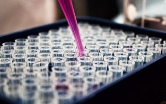 biopsia liquida