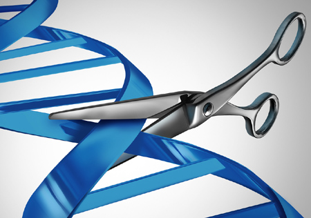 CRISPR-Cas9 - Immagine esemplificativa