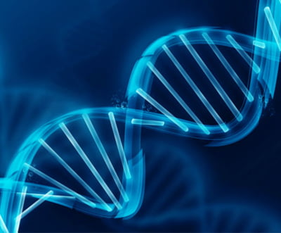 CRISPR, evoCas9, DNA
