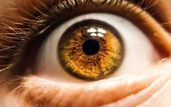 Fondo per le malattie rare della retina