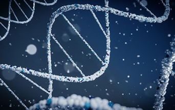Fondo per i Test di Next – Generation Sequencing