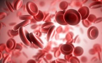 interrogazione porpora trombotica trombocitopenica