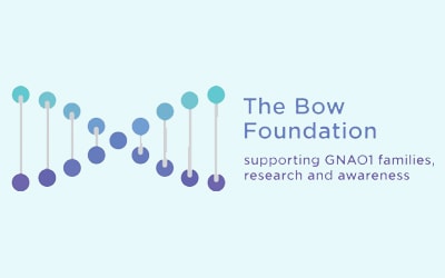 encefalopatia epilettica, logo della Bow Foundation