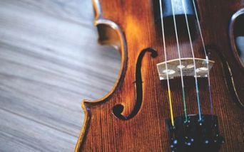 Violino