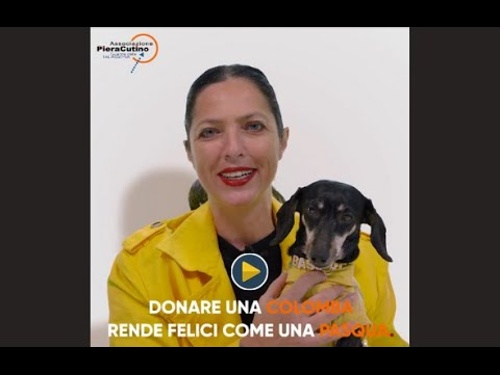 Visualizza
