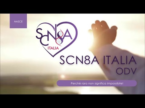 Visualizza